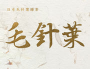 日本毛針葉綠茶