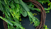 天然頂級45cm特長菜心－只限現場取貨